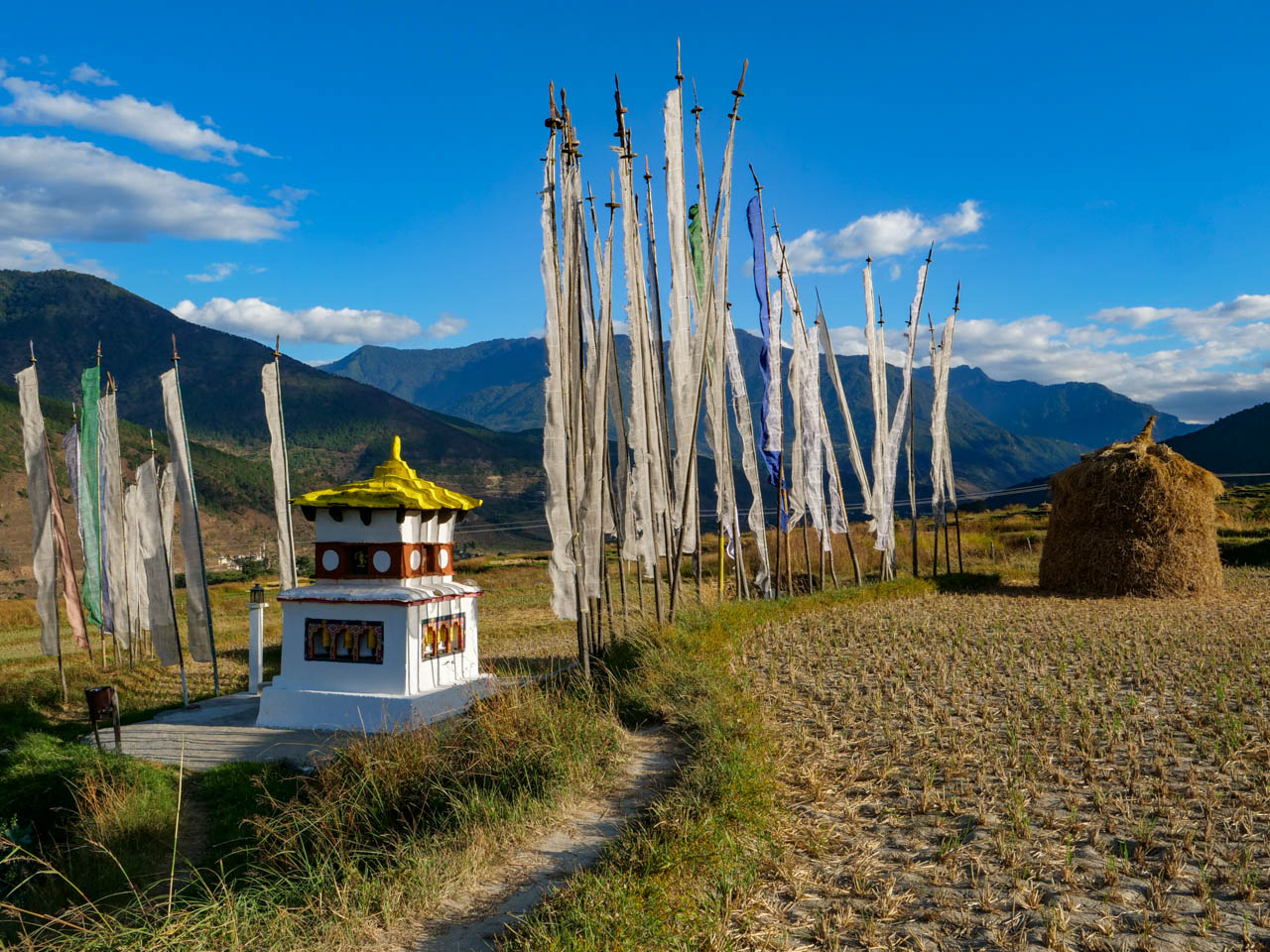 Bhutan, Pajo