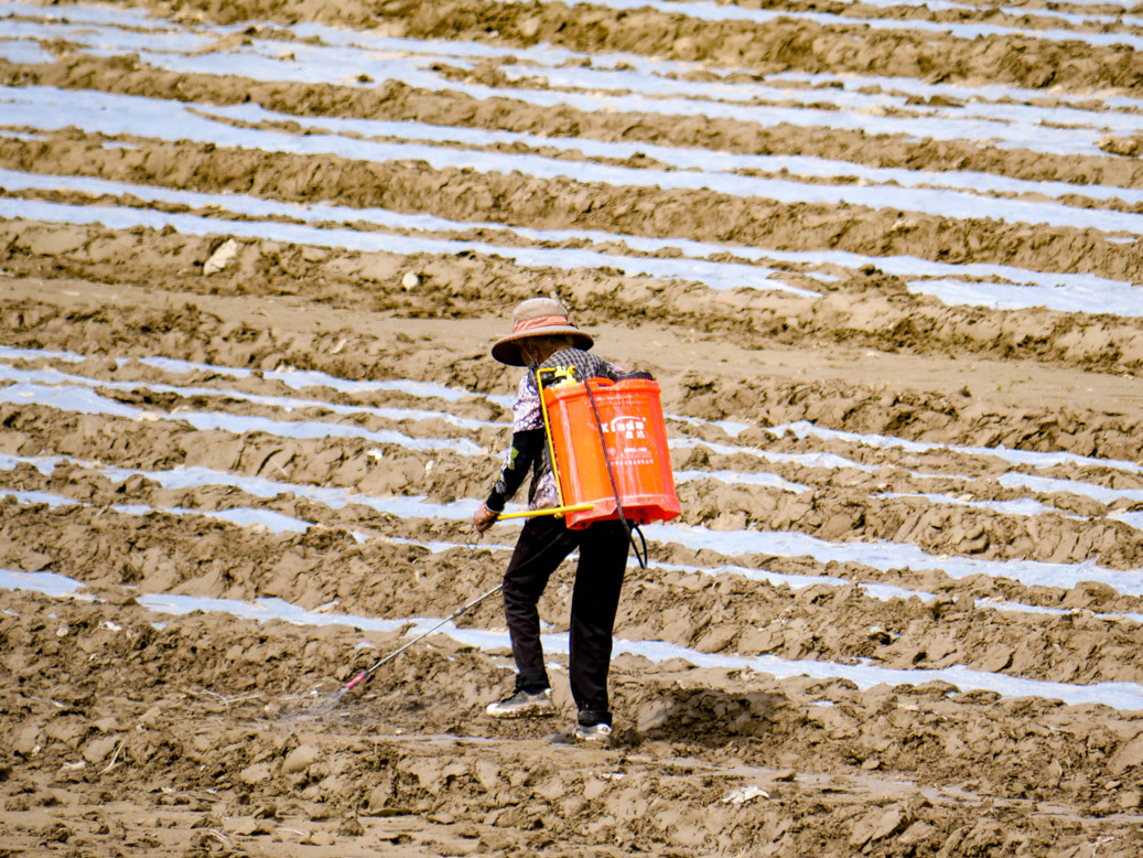 Binglingsi Höhlen, China, CHN, Gansu Sheng, Hedongcun