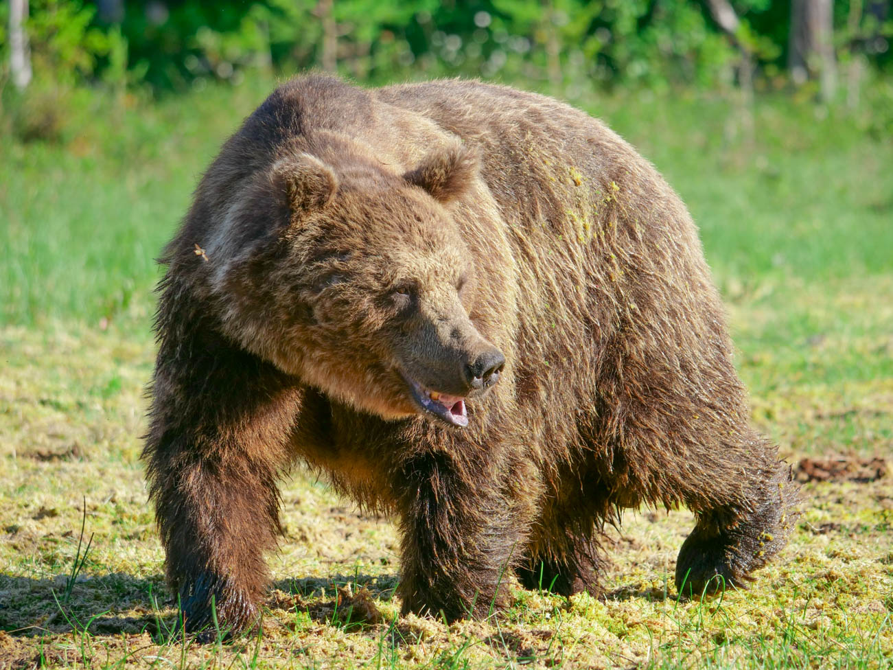 Martinselkonen Wilds Centre