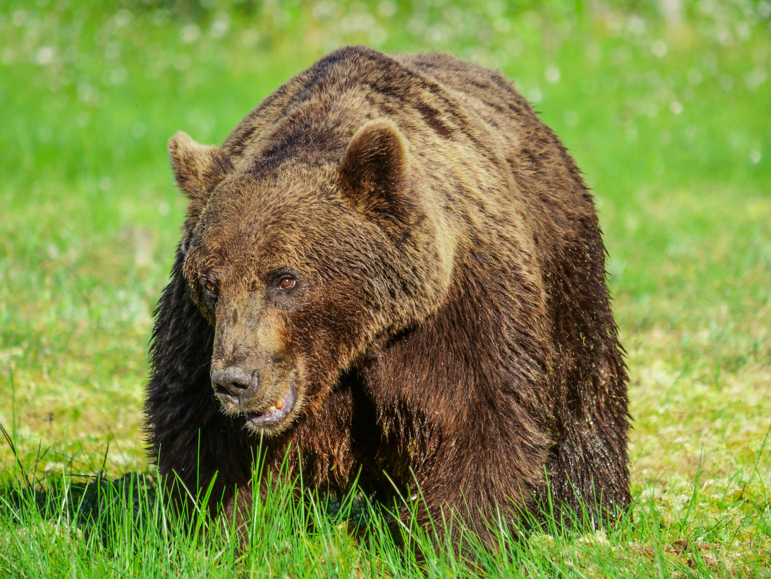 Martinselkonen Wilds Centre