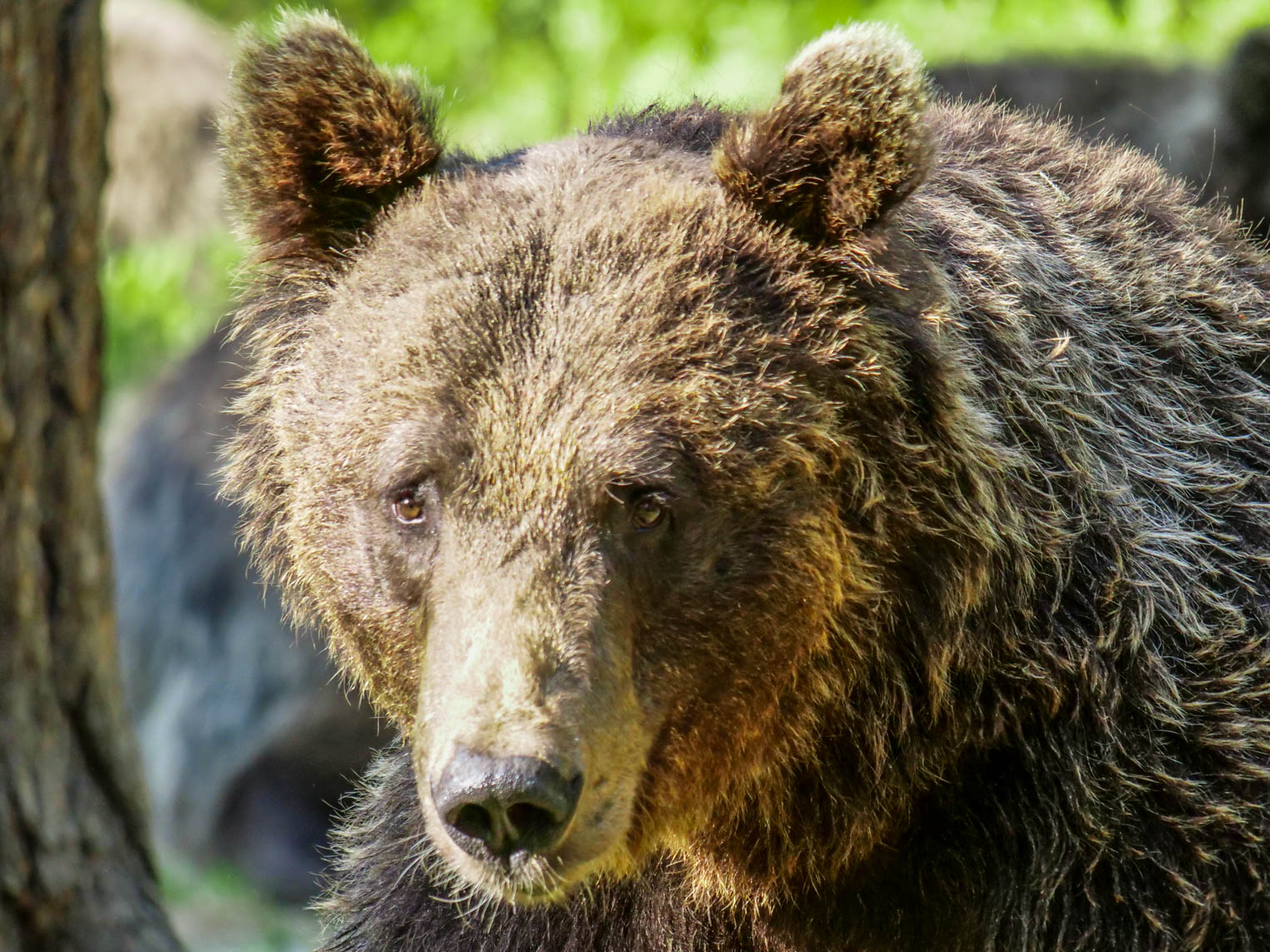 Martinselkonen Wilds Centre