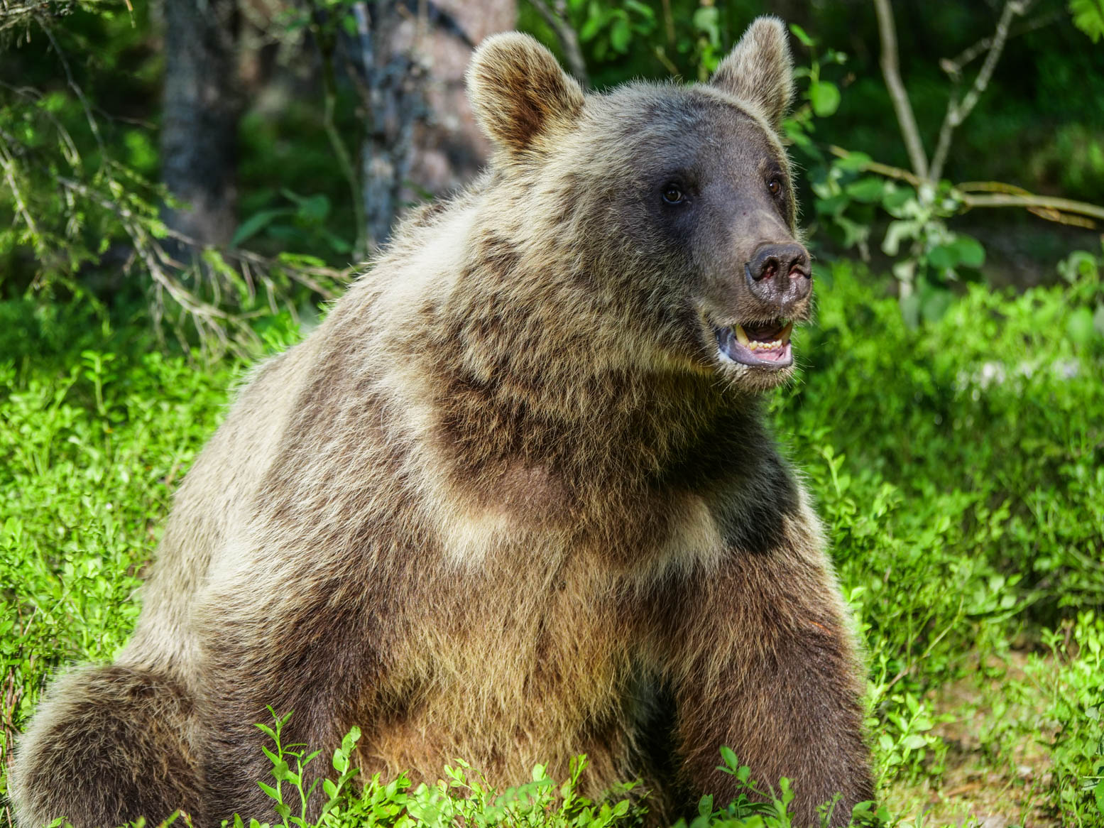 Martinselkonen Wilds Centre