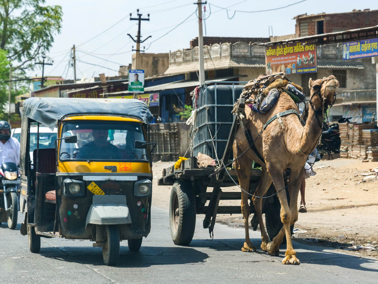 Rajasthan, Singhana - Singhäna