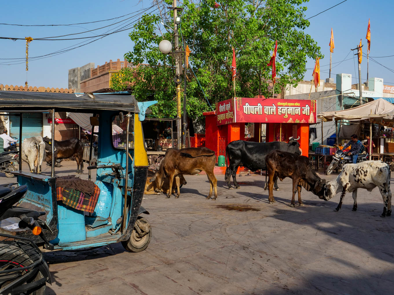 Rajasthan, Udasar - Bikaner