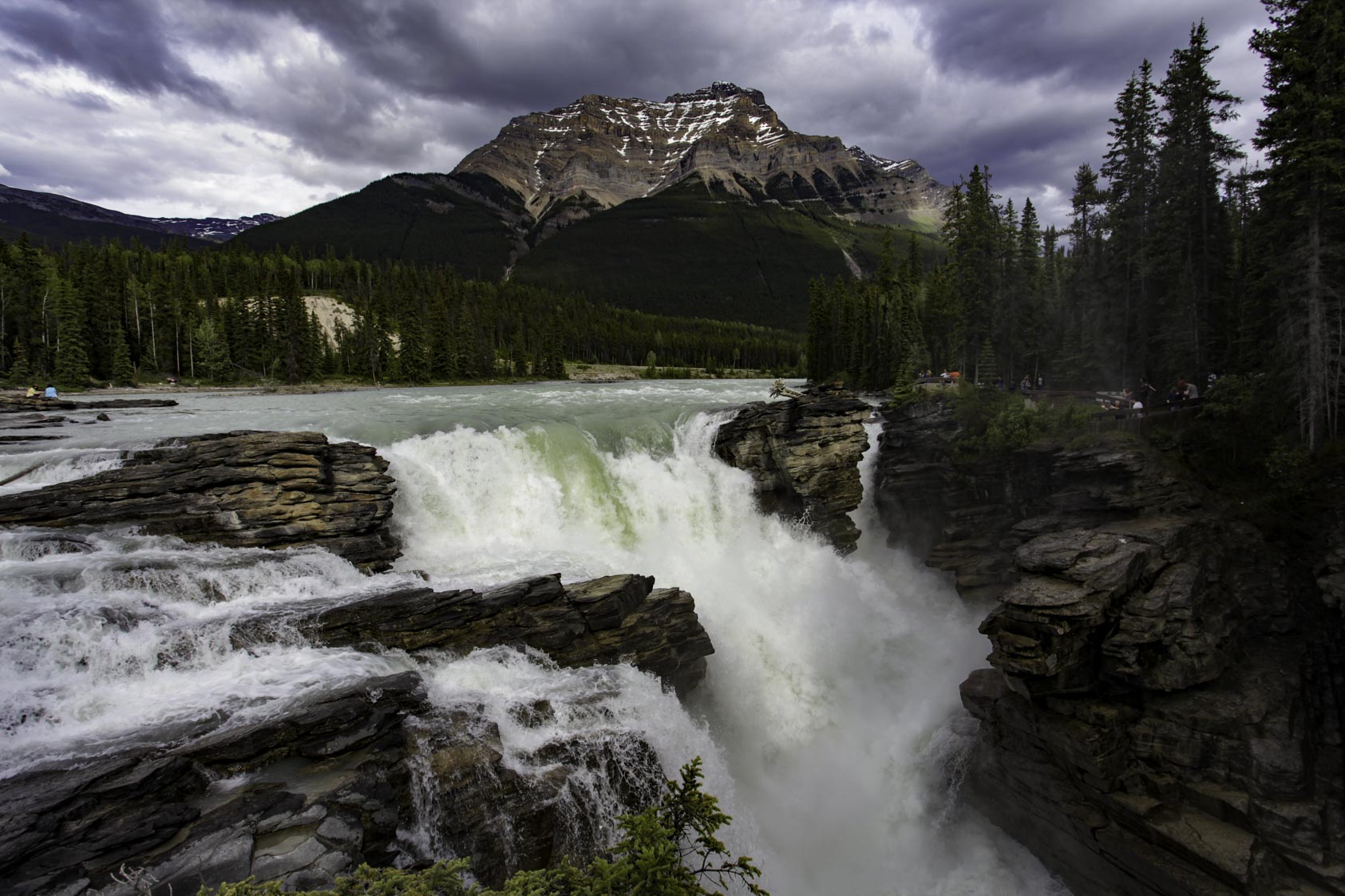 Mountain Park, Western Alberta (Jasper), Alberta, Kanada, CAN