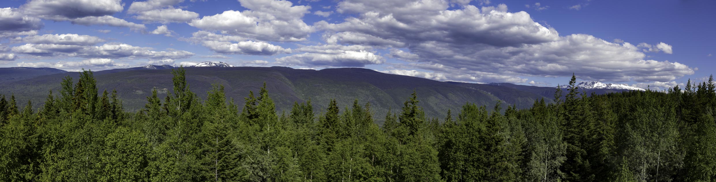 Stillwater, Central Okanagan and High Countr, British Columbia,