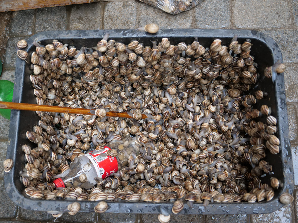 Fes Leball, Fès-Meknès, MAR, Marokko