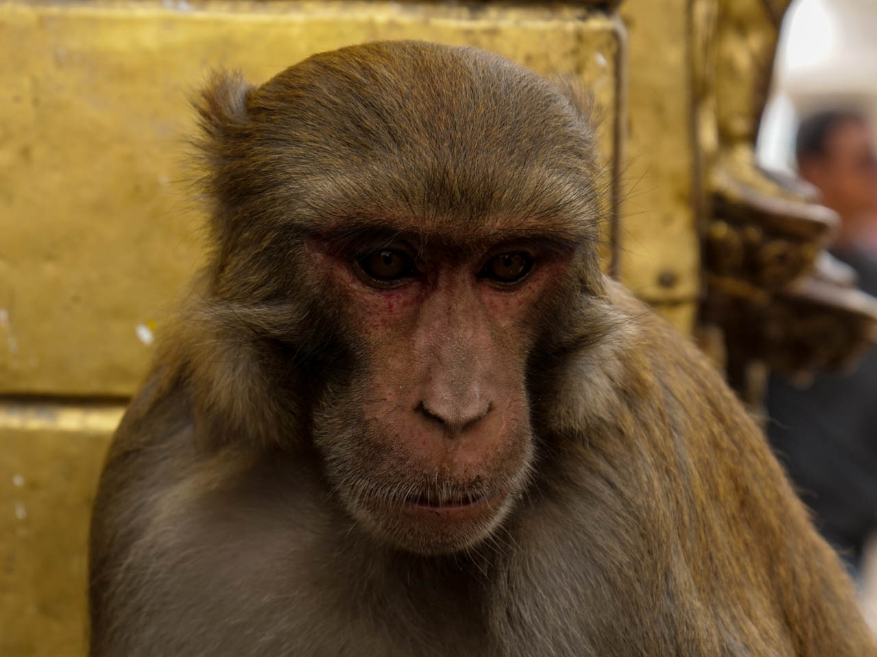 Nepal, Swayambhunath