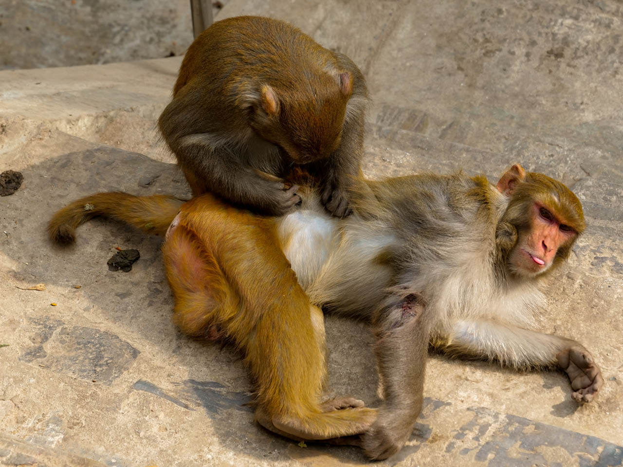 Nepal, Swayambhunath