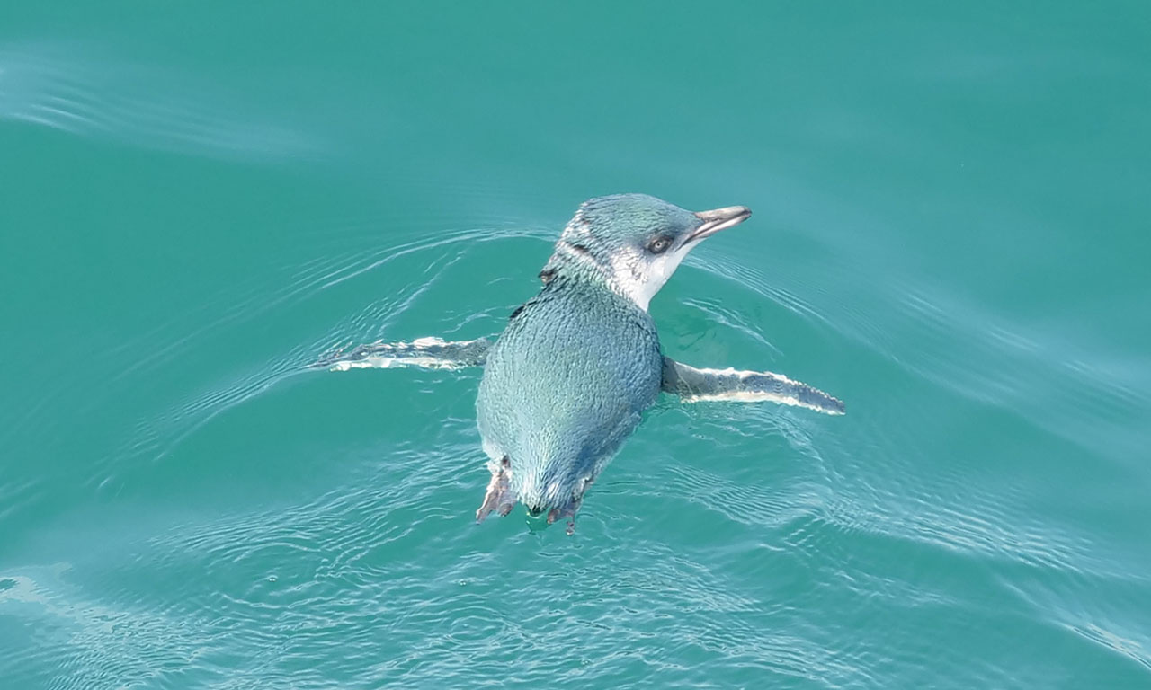 0093 PHHM5641 Bearbeitet