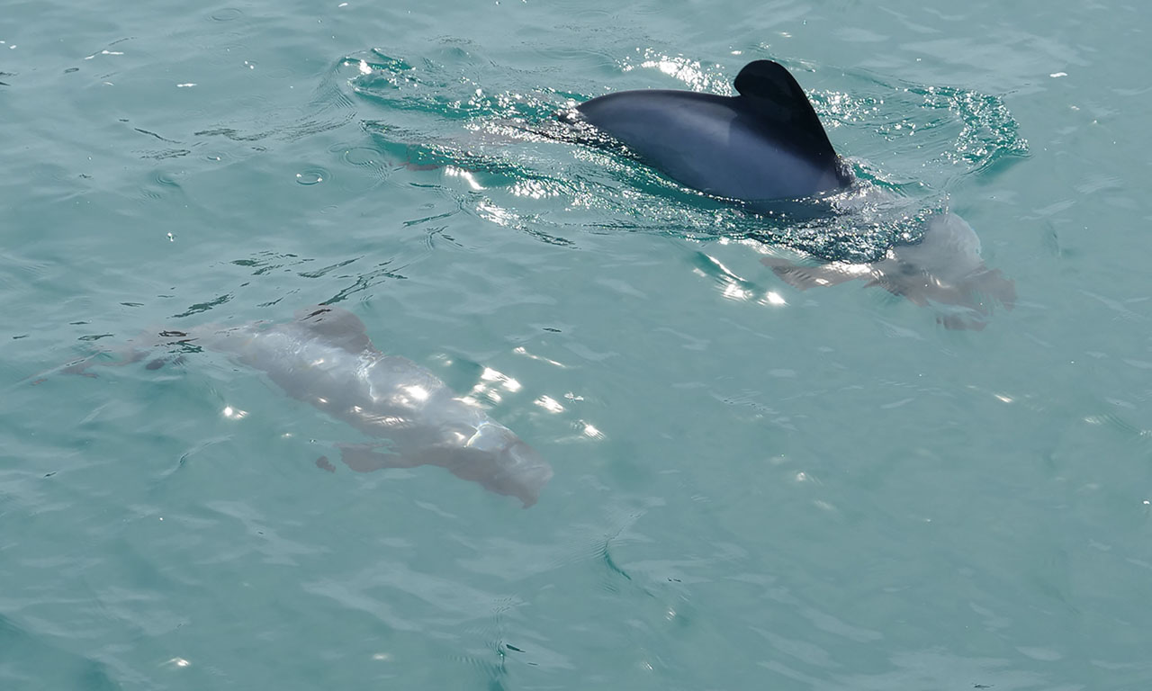 0096 PHHM5660 Bearbeitet