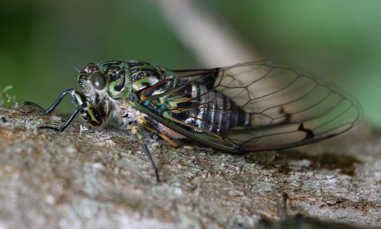 0111 PHHM5700 Bearbeitet