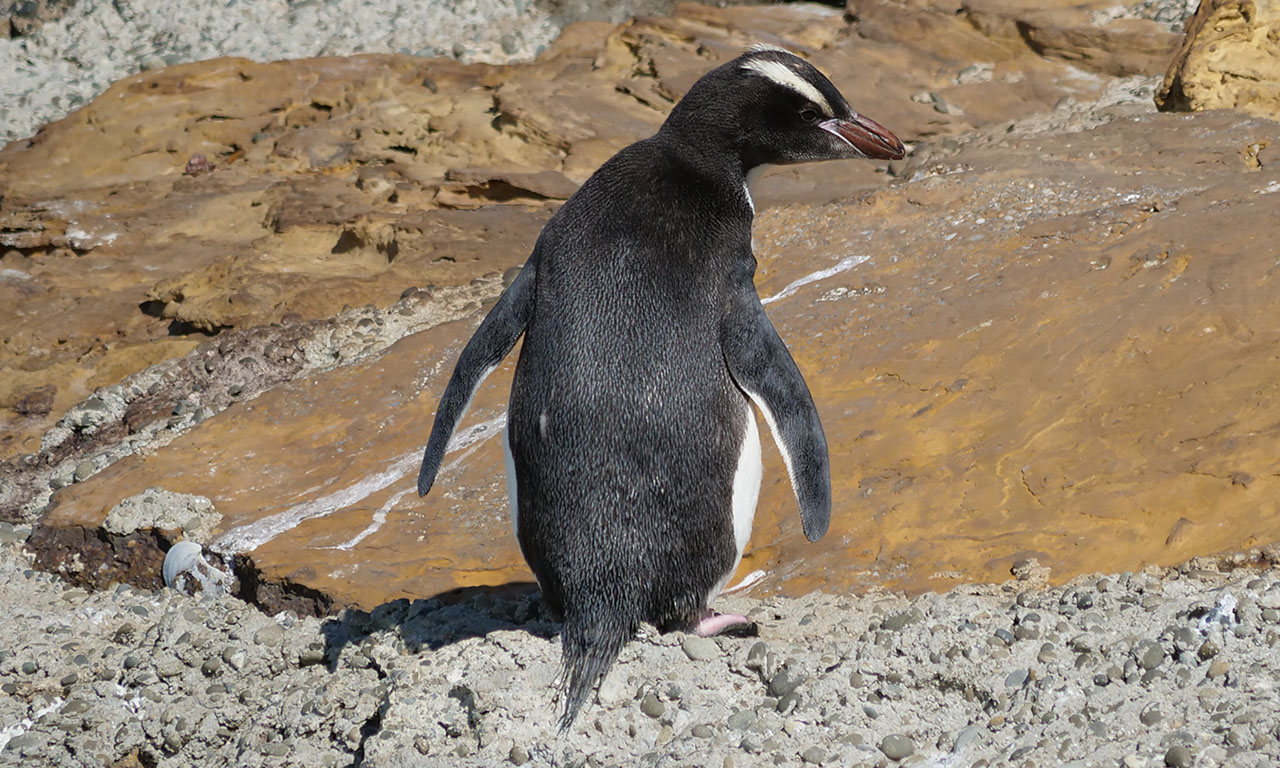 0256 PHHM6585 Bearbeitet