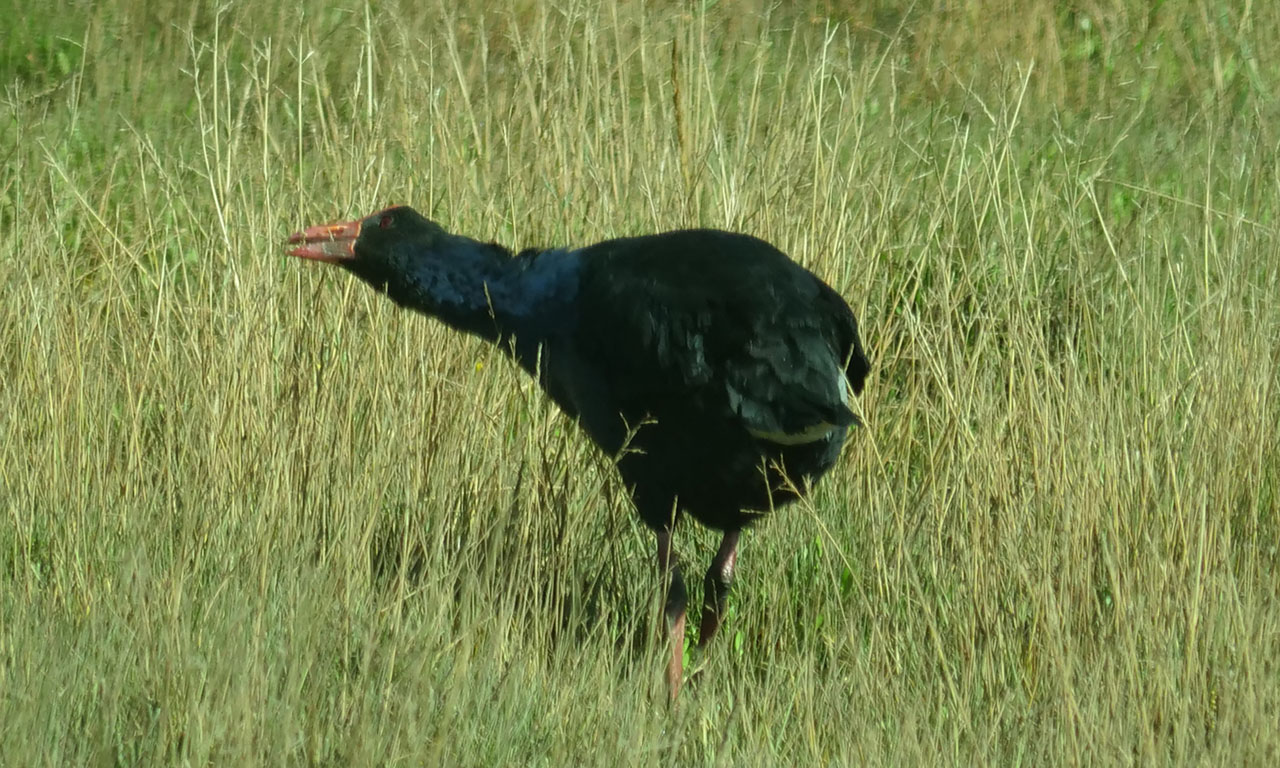 0301 PHHM6679 Bearbeitet