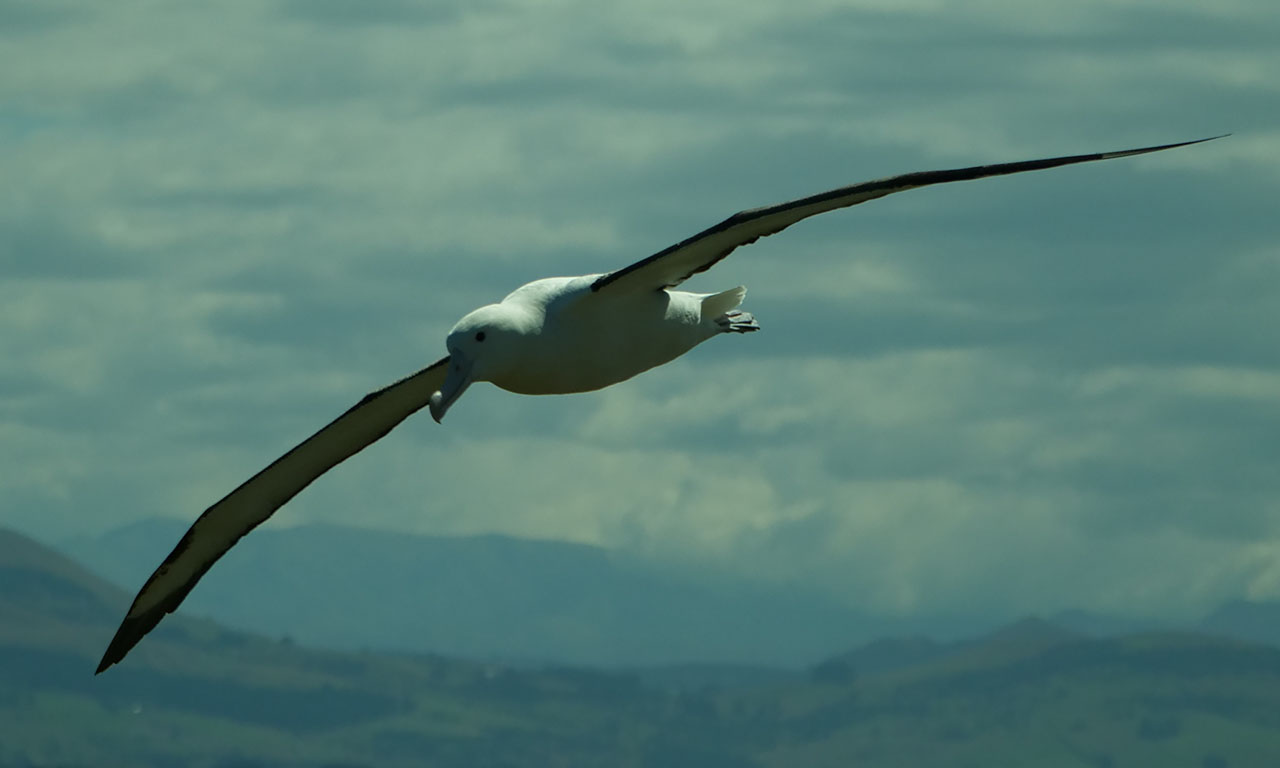 0309 PHHM6703 Bearbeitet