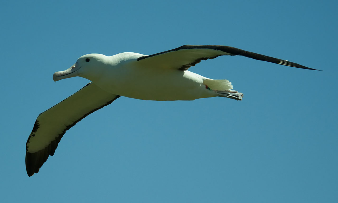 0316 PHHM6763 Bearbeitet