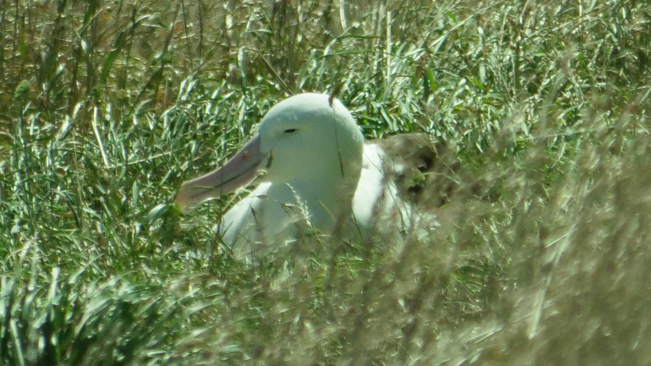 0335 PHHM7062 Bearbeitet