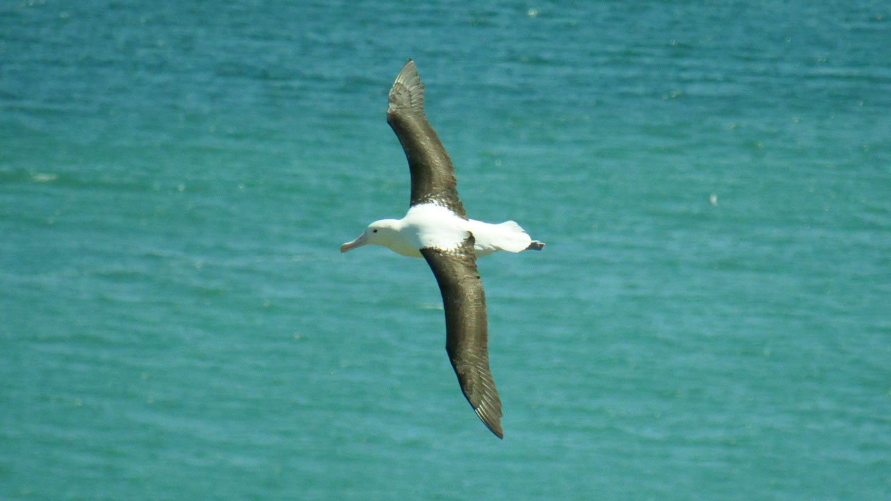 0347 PHHM7184 Bearbeitet