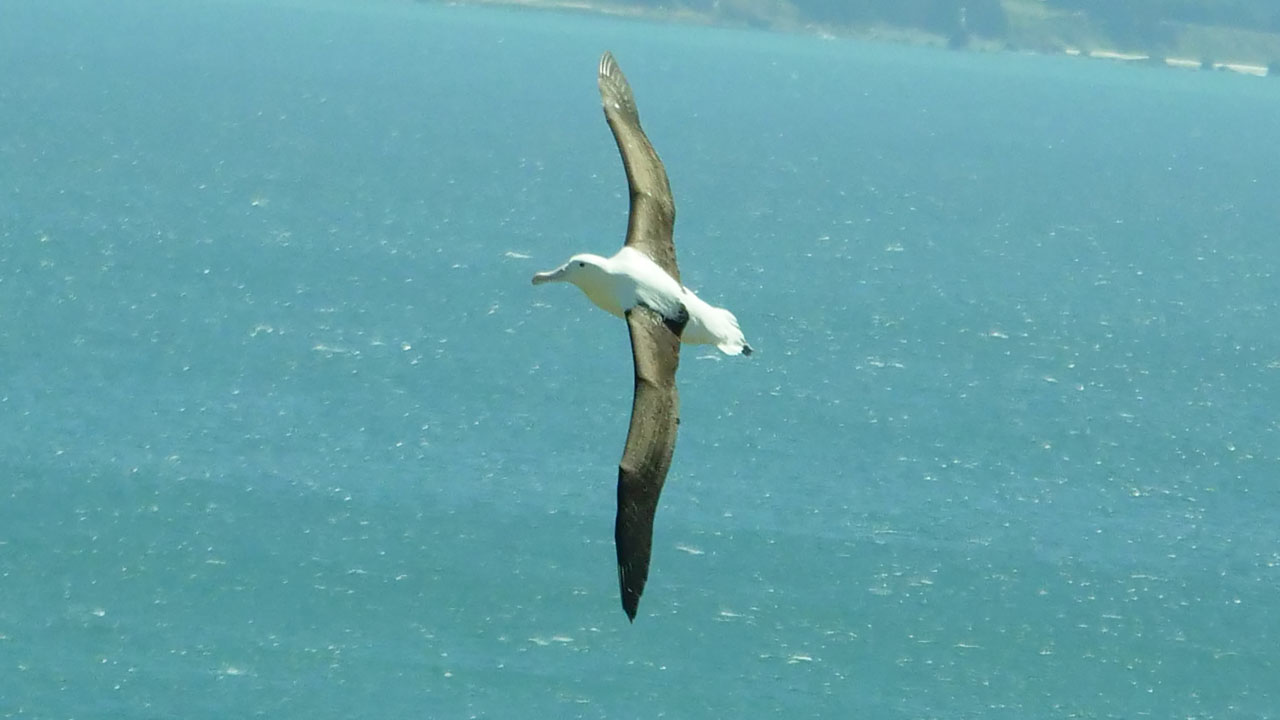 0355 PHHM7252 Bearbeitet