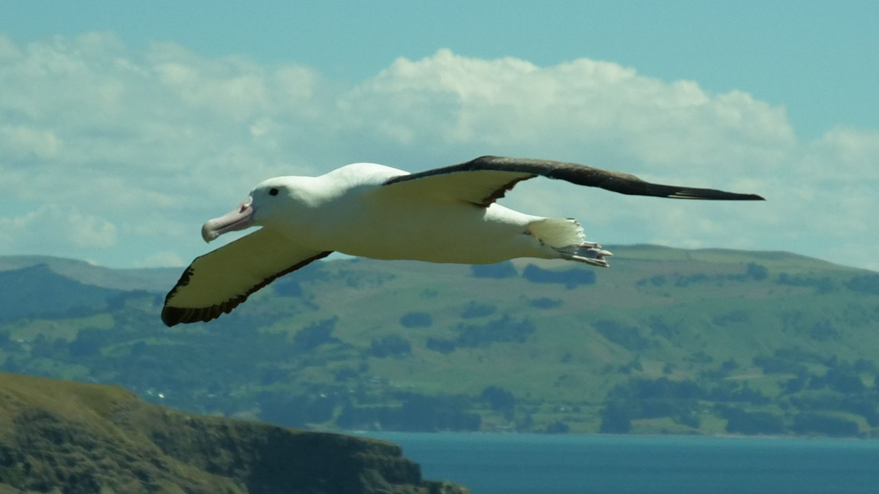 0358 PHHM7273 Bearbeitet