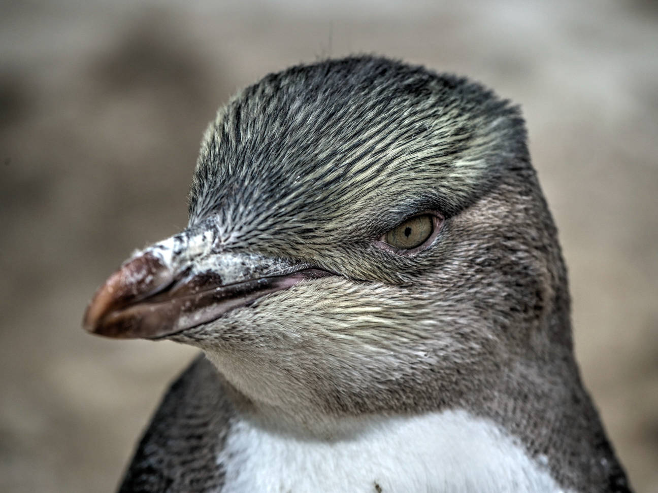 0409 PHHM7402 tonemapped