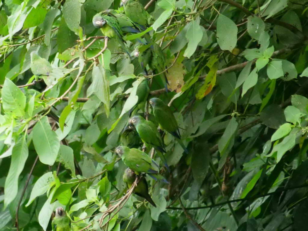 Süd- & Nordamerika 07-2017