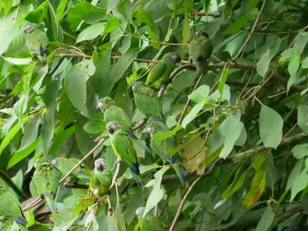 Süd- & Nordamerika 07-2017