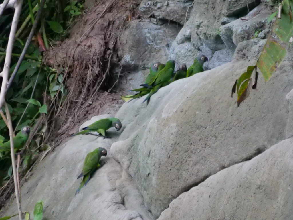 Süd- & Nordamerika 07-2017