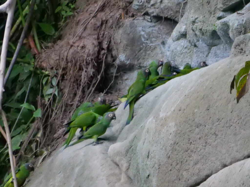 Süd- & Nordamerika 07-2017