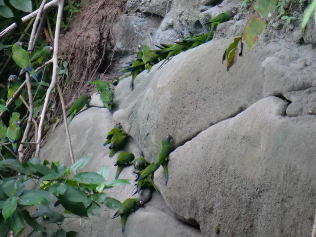 Süd- & Nordamerika 07-2017