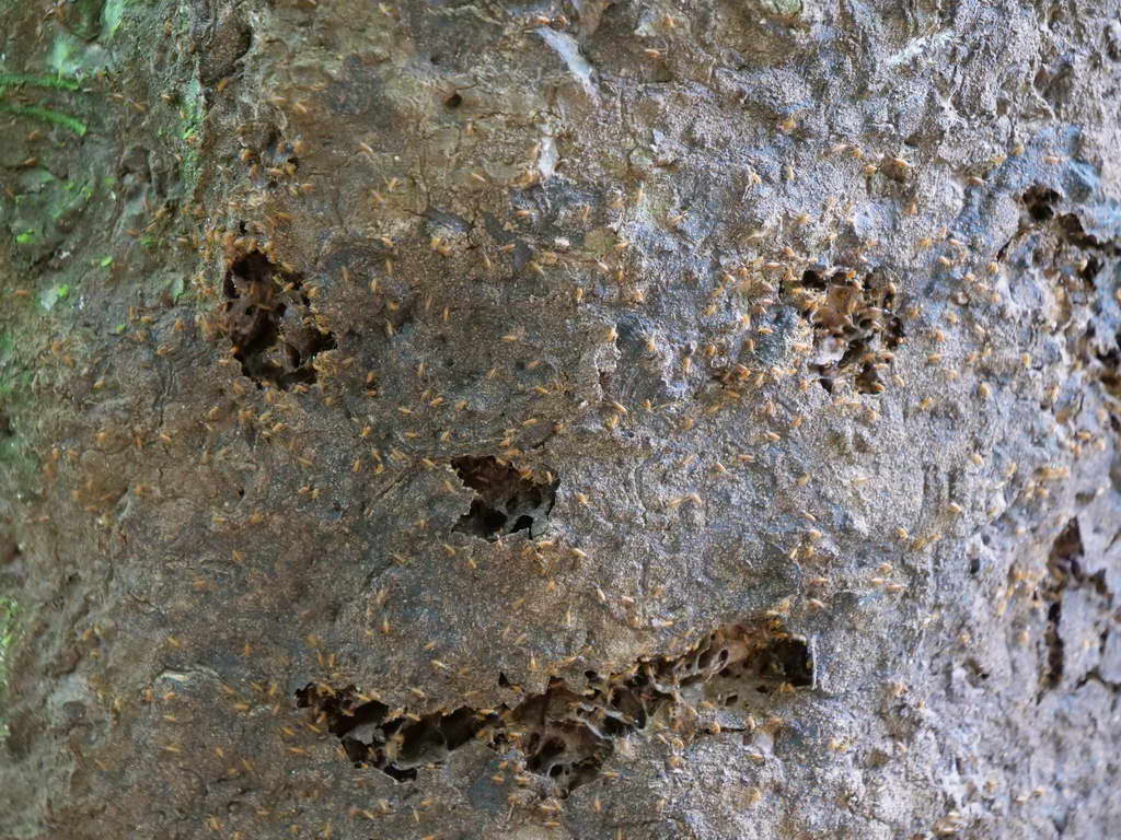 Süd- & Nordamerika 07-2017