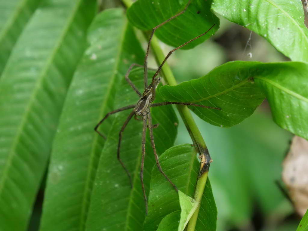 Süd- & Nordamerika 07-2017