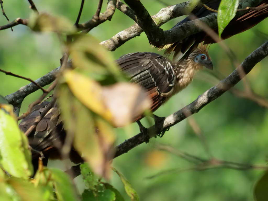 Süd- & Nordamerika 07-2017