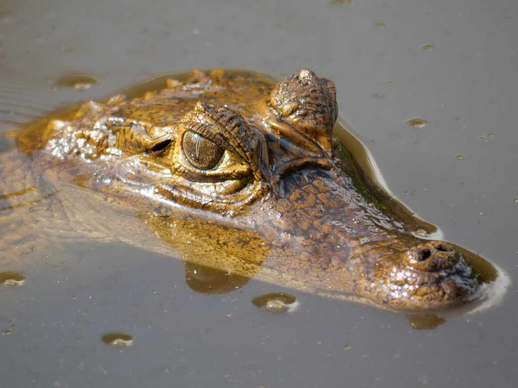 Süd- & Nordamerika 07-2017