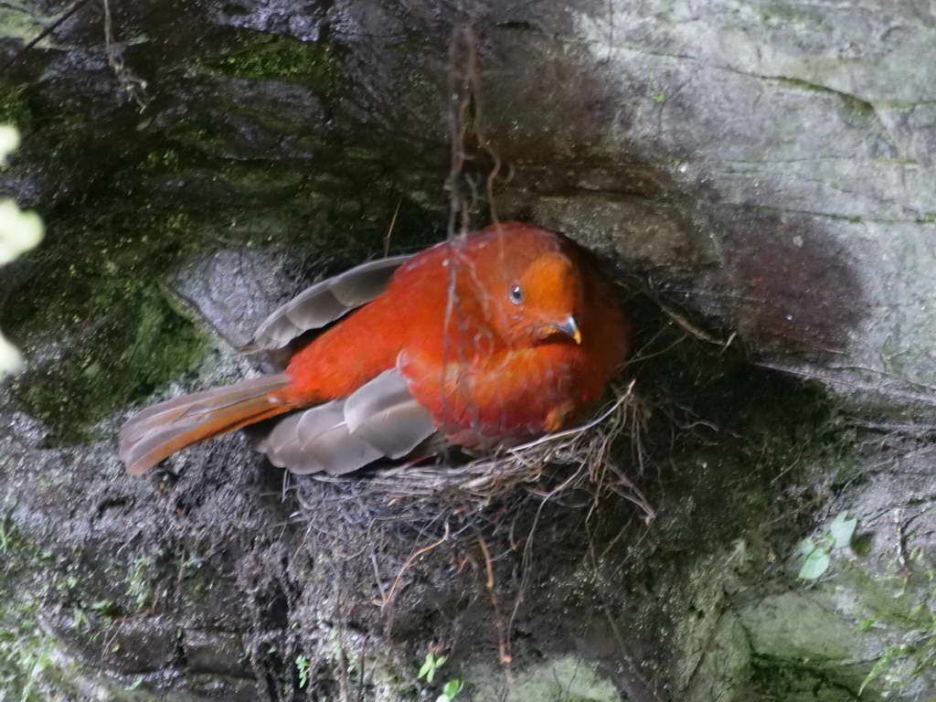 Süd- & Nordamerika 07-2017