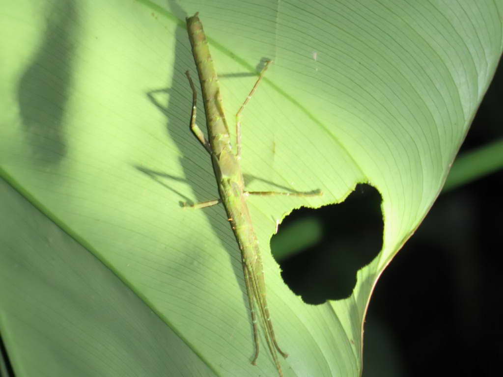 Süd- & Nordamerika 07-2017