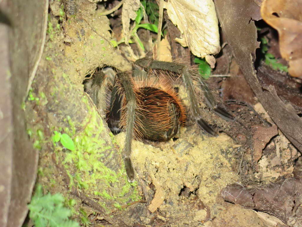 Süd- & Nordamerika 07-2017