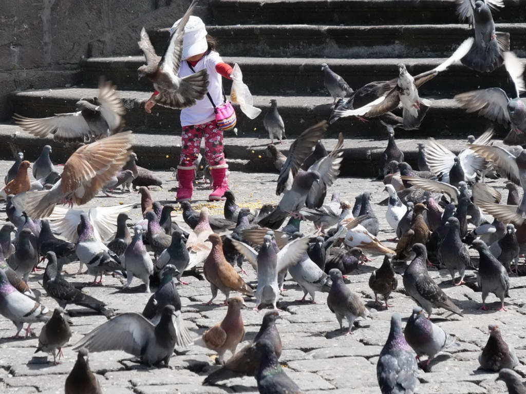 Süd- & Nordamerika 07-2017