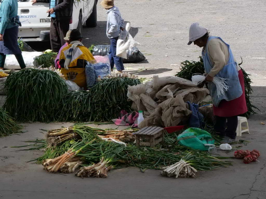 Süd- & Nordamerika 07-2017