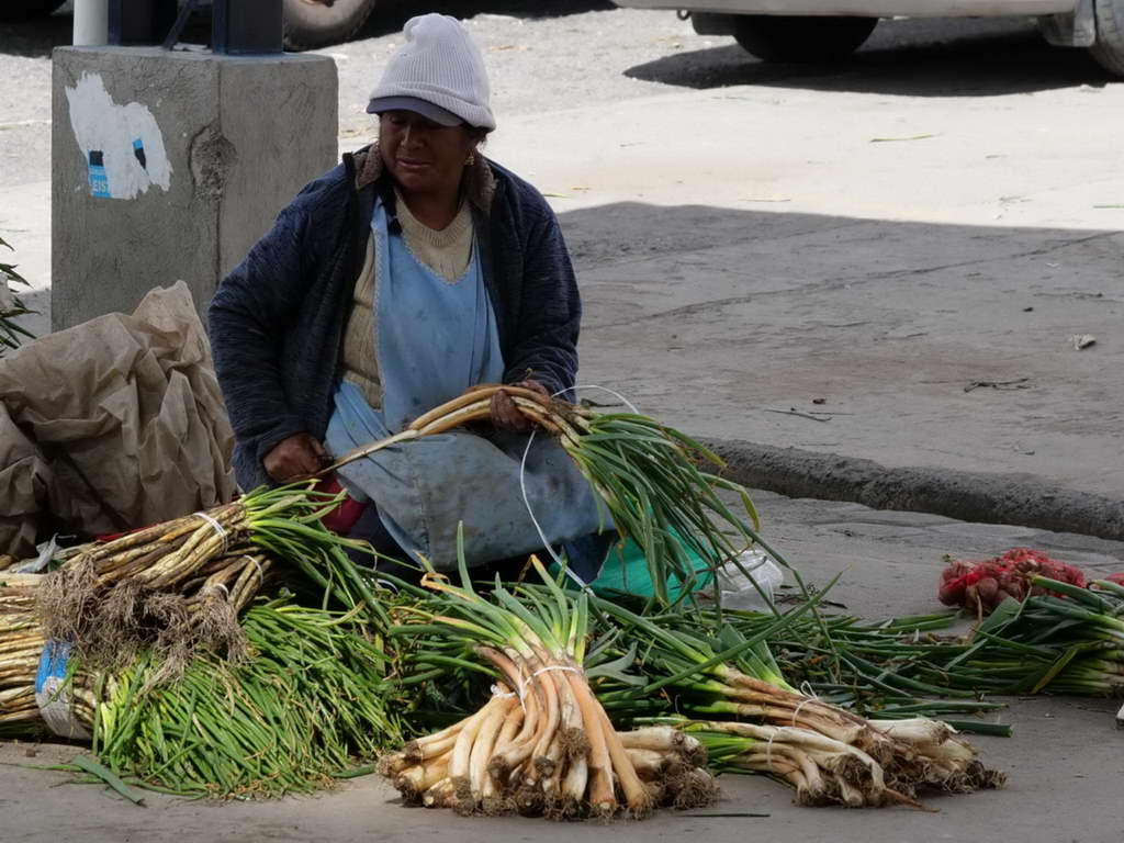 Süd- & Nordamerika 07-2017