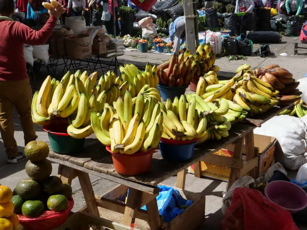 Süd- & Nordamerika 07-2017