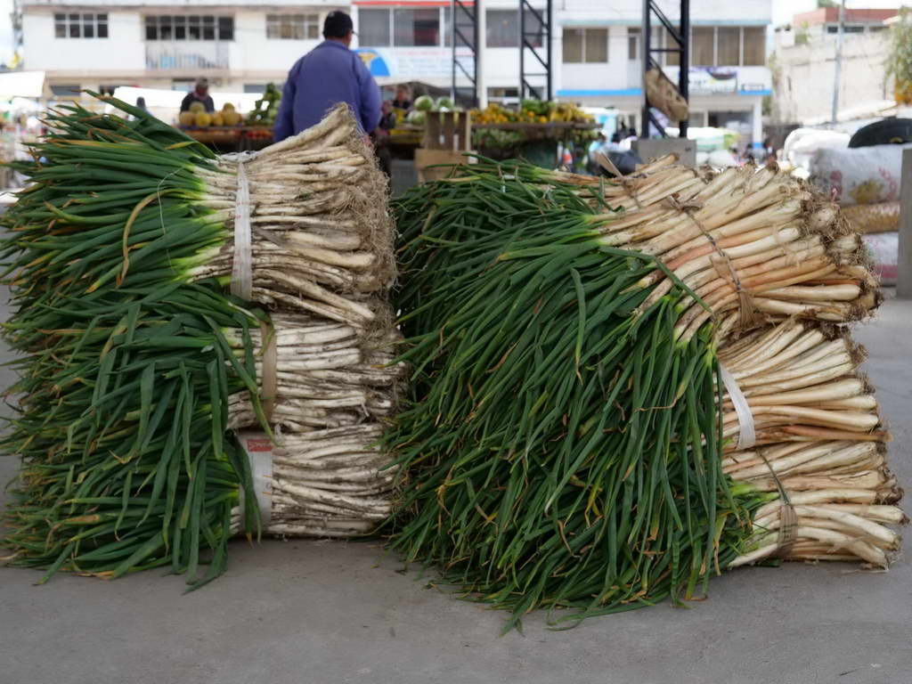 Süd- & Nordamerika 07-2017