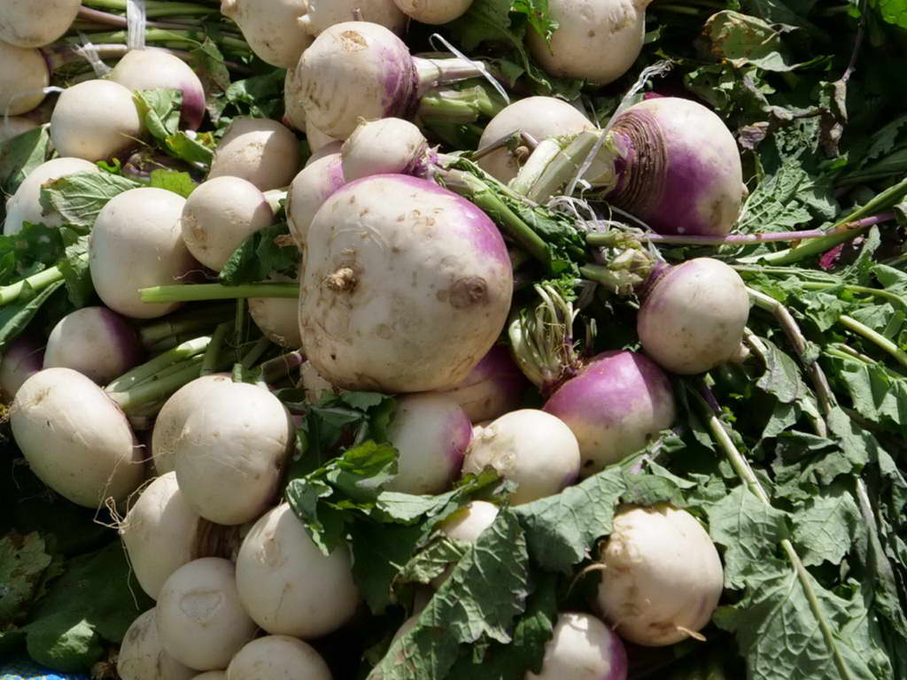 Süd- & Nordamerika 07-2017