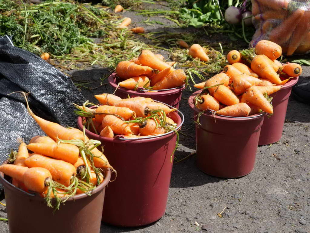 Süd- & Nordamerika 07-2017