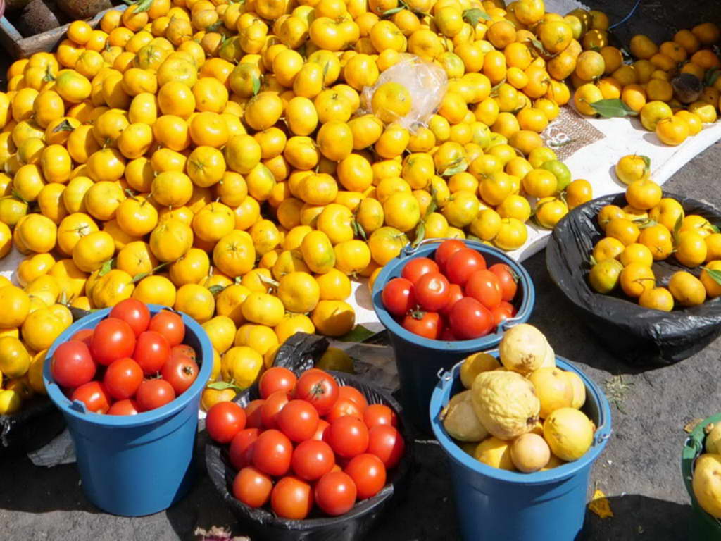 Süd- & Nordamerika 07-2017