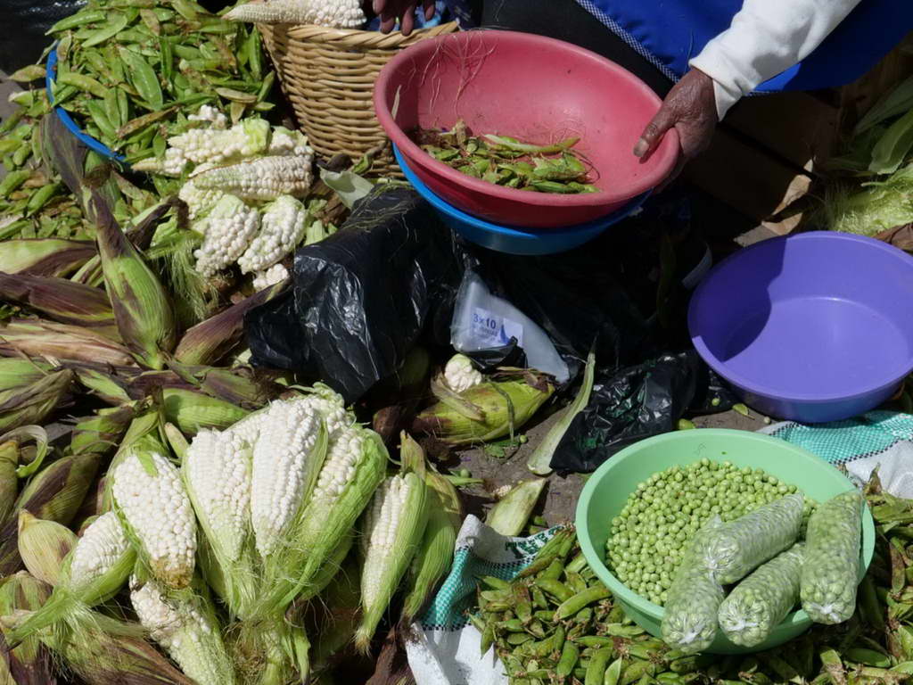 Süd- & Nordamerika 07-2017