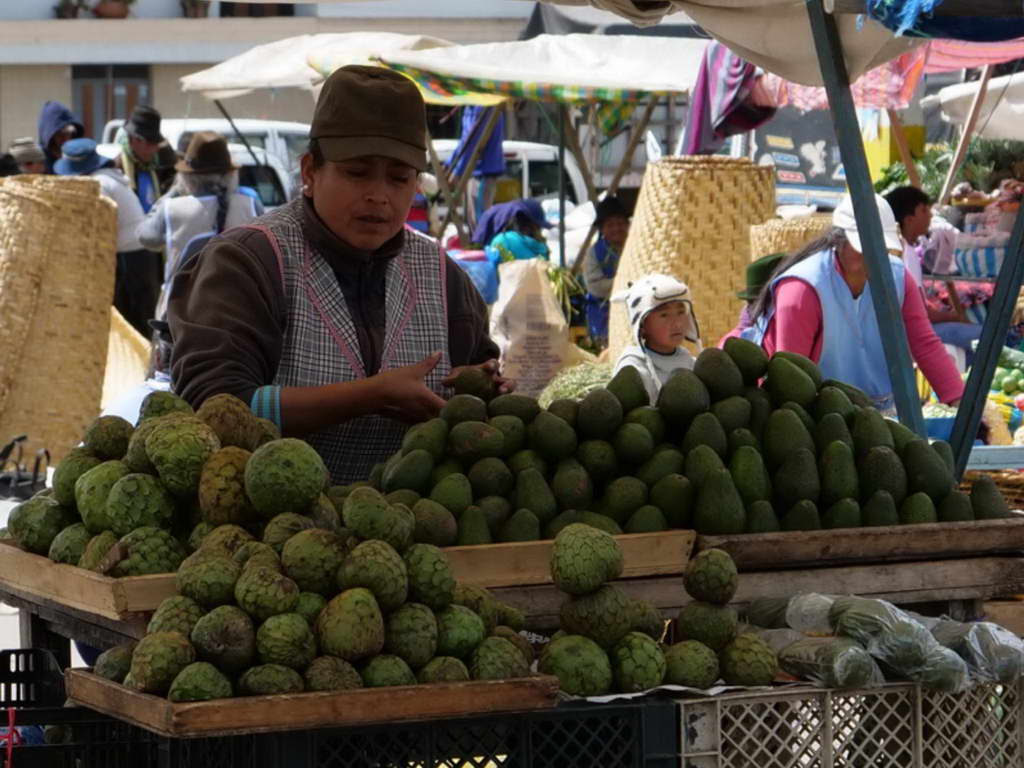 Süd- & Nordamerika 07-2017