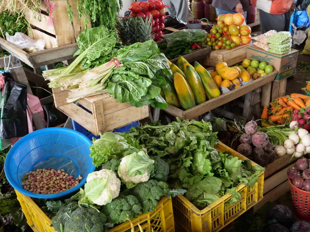 Süd- & Nordamerika 07-2017