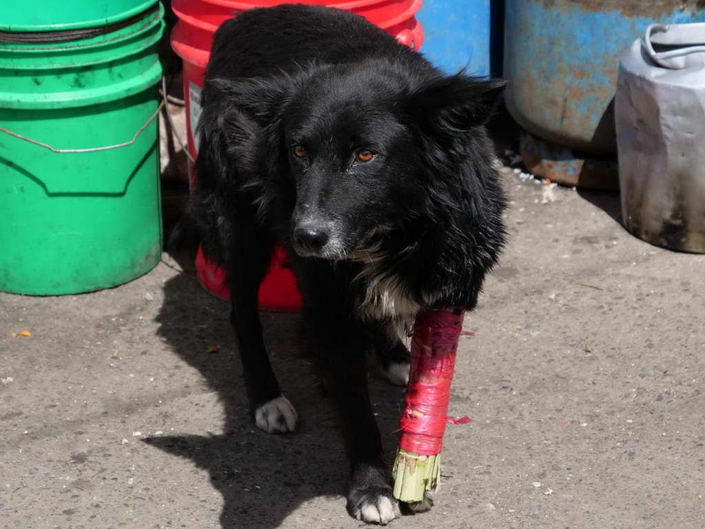 Süd- & Nordamerika 07-2017