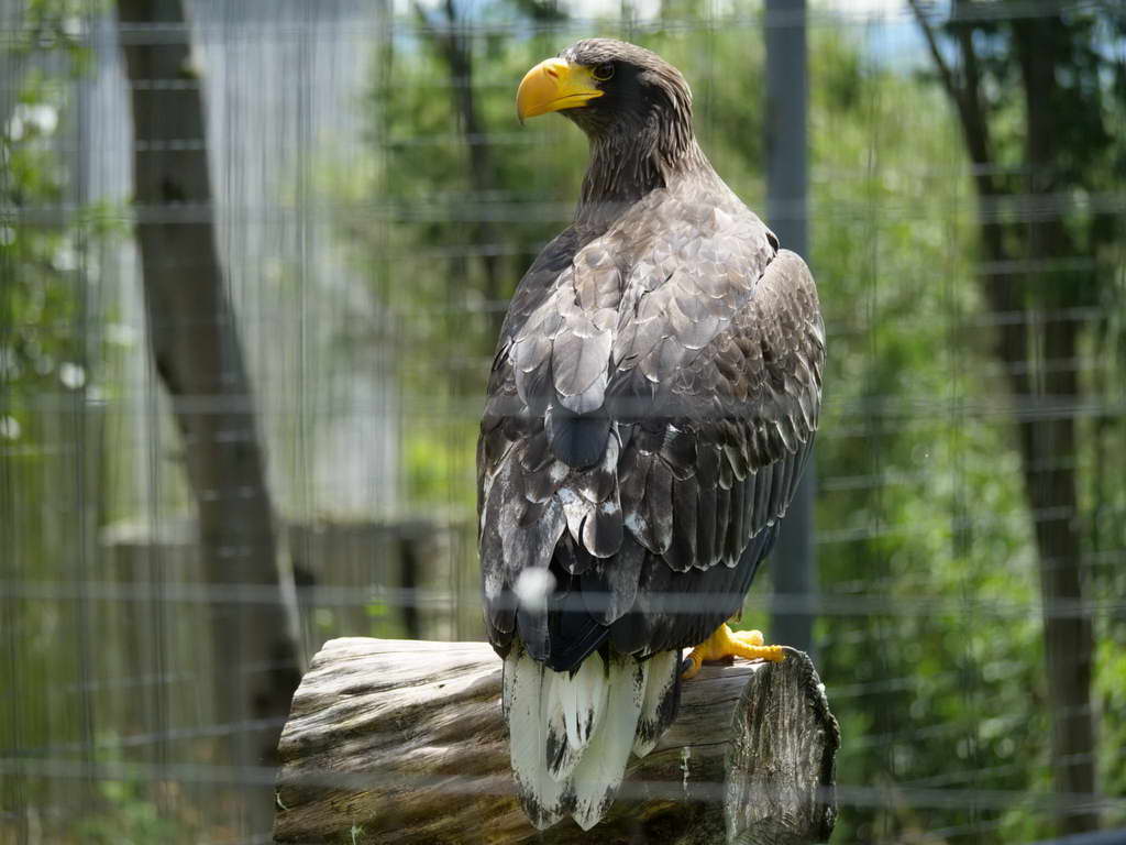 Süd- & Nordamerika 07-2017